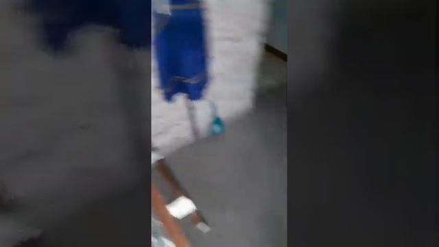 Котик пришел мыть посуду смотреть онлайн