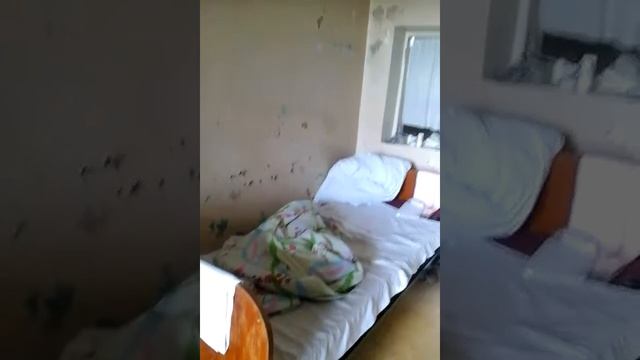 больница в Московской области Павлов посад 8 корпус смотреть онлайн
