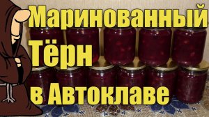 Маринованный Терн (Торн) в Автоклаве домашнем. Рецепты для Автоклава / autoclave canning