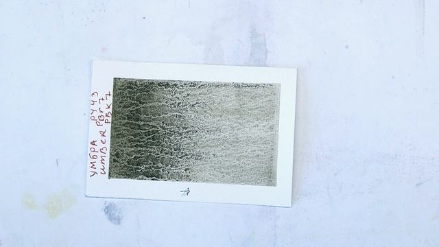 Белые Ночи (НП) Тест на света стойкость. смотреть онлайн