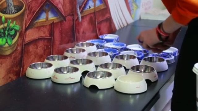 Kotokafe "Republic of Cats" in St. Petersburg. Котокафе "Республика кошек" в Санкт-Петербурге смотреть онлайн