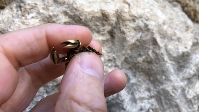 Скорпион бронзовая фигурка Коллекционная бронзовая статуэтка Большой скорпион Высокая детализация смотреть онлайн