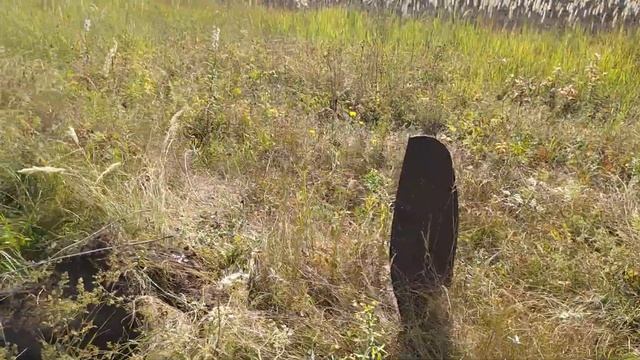 НЕ ОЖИДАЛИ НАЙТИ ТАКОЙ МЕТАЛЛ В ЛЕСУ смотреть онлайн