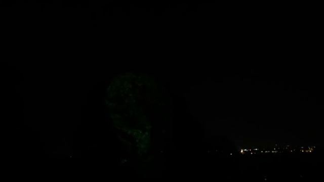 ✨ Инсталляция «Маски» на деревьях. Коломенское. Круг света 2018