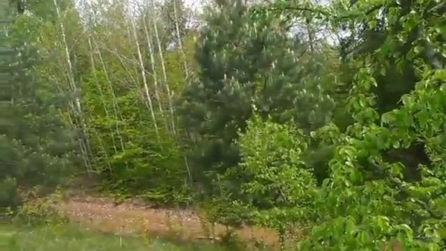 У Тещиной подруги|Интересные истории из жизни.. смотреть онлайн