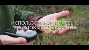 ВЭШ