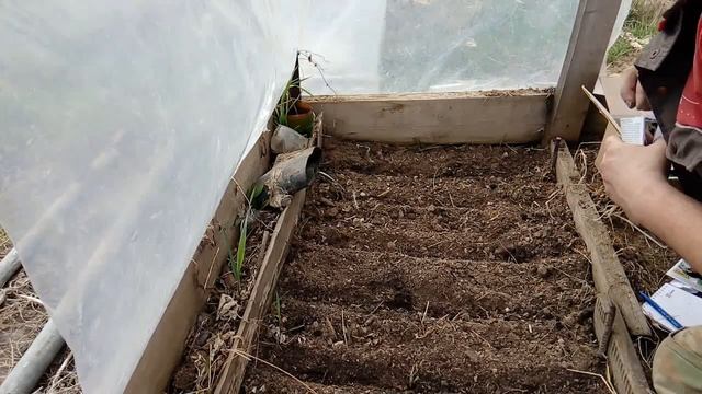 Сажаю ВСЮ рассаду для огорода в АПРЕЛЕ смотреть онлайн