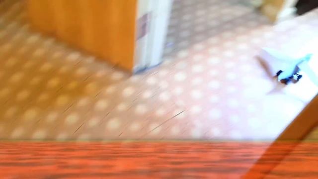 ПОЛ ЭТО ЛАВА ЧЕЛЛЕНДЖ И ЛЕТАЮЩИЙ КОТ / НАСТОЯЩАЯ КОШКА VERSUS ЛАВОВАЯ / АНАНАСТЕНЬКА смотреть онлайн