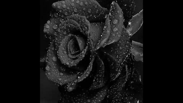 СТИХИ О БОЛИ, О ЖИЗНИ ТЕМНАЯ. СТОРОНА СУДЬБЫ!#цитатник #стихи #душа #боль смотреть онлайн