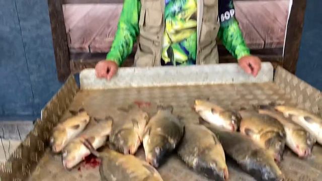 14,4 кг карпа - улов с основного водоёма смотреть онлайн