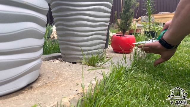 Начало высадки петуний и других цветов в кашпо. Стрижка газона и просто день на нашей ДАЧЕ_59 смотреть онлайн