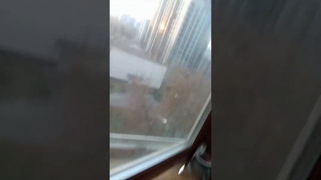11/11/2023,ОченЬ ЕдиничНыЙ ЧаТуРДаШныЙ ДеНь ШаНи РикТа ТиТТХи, ТёМныЙ,ПеРеД АмаВасьеЙ,ЗаКаТ КаК ГаЛ смотреть онлайн