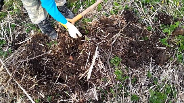 Выехали с сыном в старую деревню.Коп металлолома смотреть онлайн