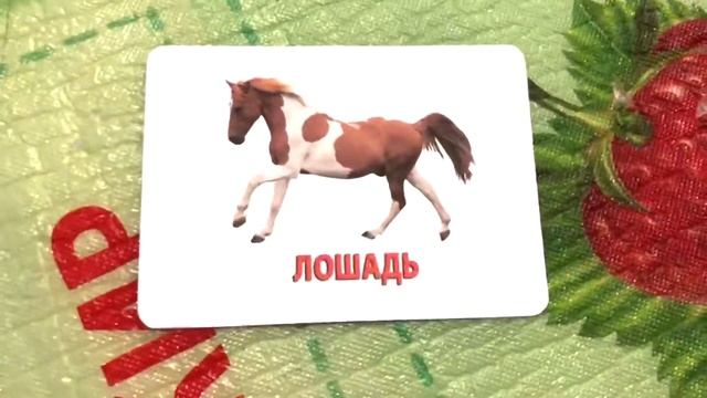 Развивающая игра «ходим как животные» смотреть онлайн