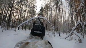 Пробираемся в избу / Охота на соболя / Промысел 2021/2022 / Не один в тайге