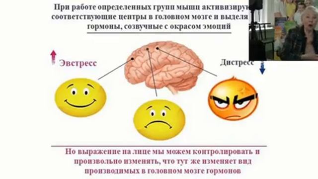 Скажем стрессу НЕТ! Лекция Н.Г. Байкуловой смотреть онлайн