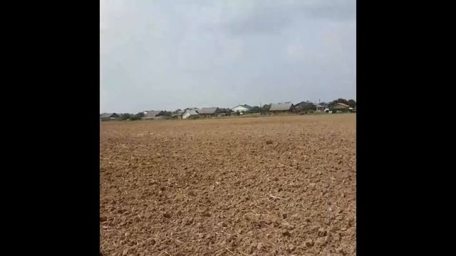 Поиск клада в калужской области смотреть онлайн