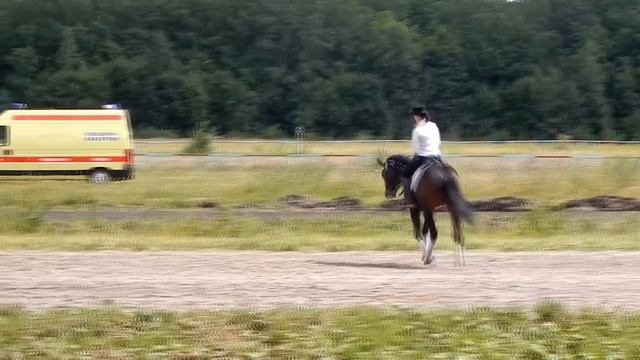 2 Ульяновский ипподром 20. 07. 14г . смотреть онлайн