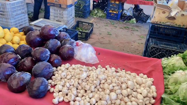 Обзор продуктового рынка в Турции 2023 #turkey #market #рынок #турция #турецкийрынок смотреть онлайн