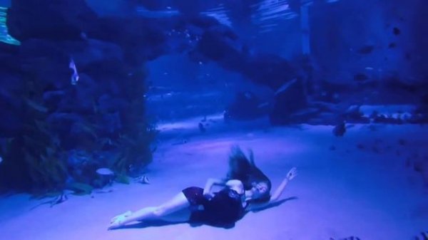 DREAM//МЕЧТА // music «The Savage Rose - Planet Of Paradise»