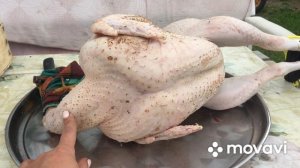 Итог содержания Индюков Биг-6 по сравнению с Хайбрид Конвертер.