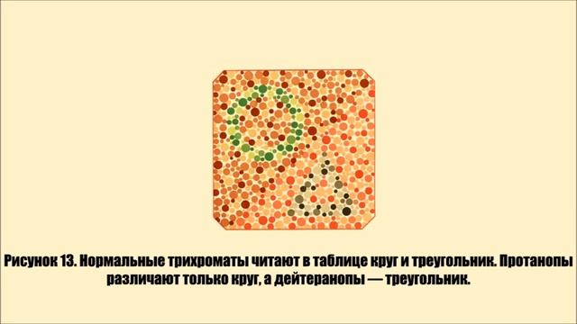 Вы видите все цвета? Пройти тест на дальтонизм! смотреть онлайн