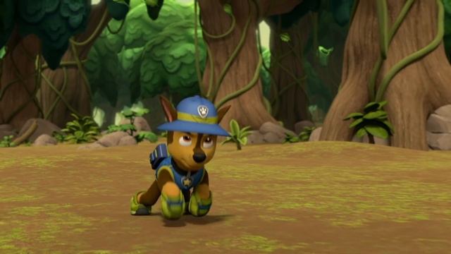 Patrulha Canina | 30 Minutos Das Melhores Missões Da Patrulha Canina | Nick Jr. Em Português