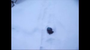 ТРАКТОР ЮМЗ 6//НАСОС ГИДРАВЛИКИ//ВОПРОС -ОТВЕТ