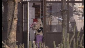 Дом-2. Это любовь!, 49 выпуск