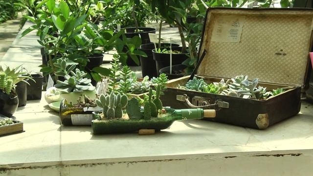 Волгоградские природные парки пользуются популярностью у туристов смотреть онлайн