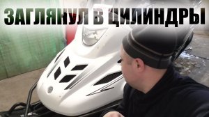 снегоход тайга варяг 550 заглянул в камеру сгорания камерой Fi