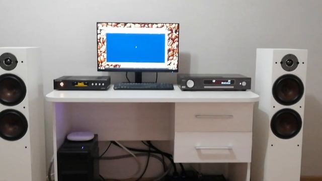 Dali Oberon 7 + Arcam SA20 + DAC ES9038Pro*2 (Muses 02+03) + Wireworld Equinox 8 RCA + QED XT40