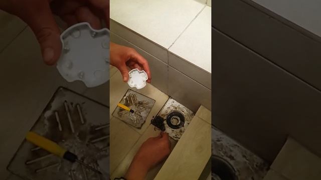 Чистка трапа в душевом поддоне смотреть онлайн