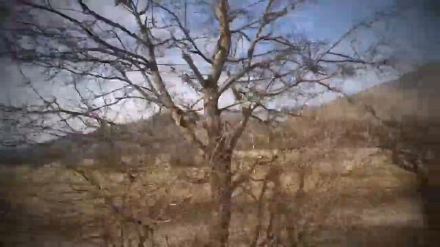 #geTrip2020 🇬🇪 Поезд Кукушка смотреть онлайн