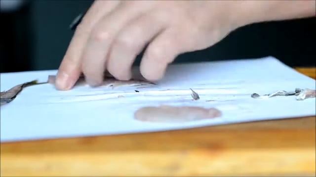 Sashimi Trachurus Japonicus (сашими ставрида)