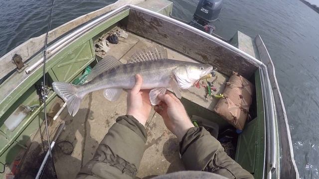 Астрахань 2021река Бузан хищник на джиг смотреть онлайн