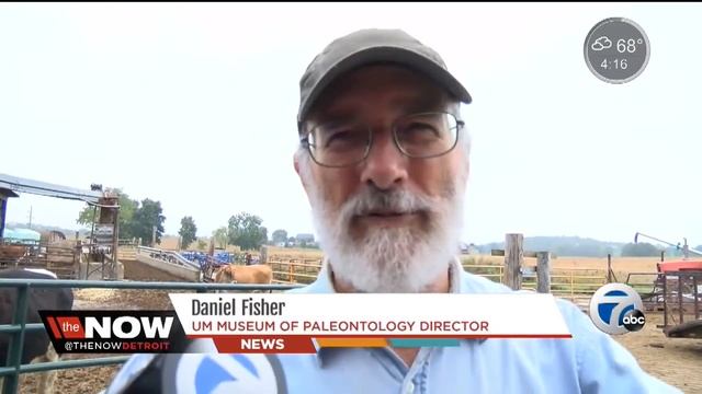 Hundreds visit Michigan farm to see wooly mammoth bones смотреть онлайн