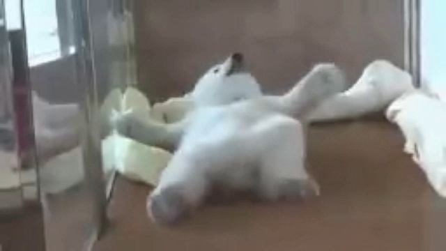 Вчера отмечал Новый Год!mp4 смотреть онлайн