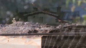 Пилорама M8 | LOGOSOL