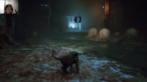 Та самая  игра про кота STRAY Прохождение # 8 Канализация