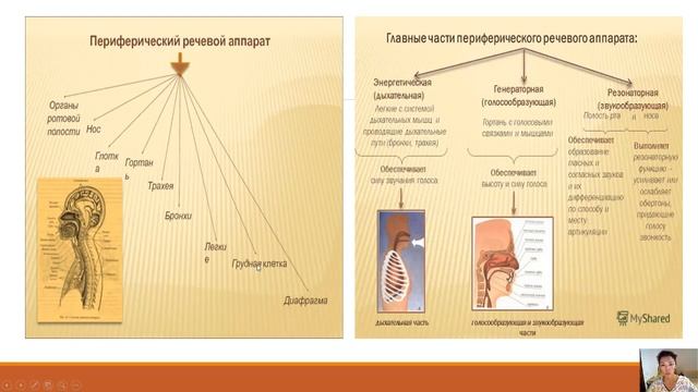 5 лекция Медицинская психология 3 ПРО Каримова А смотреть онлайн