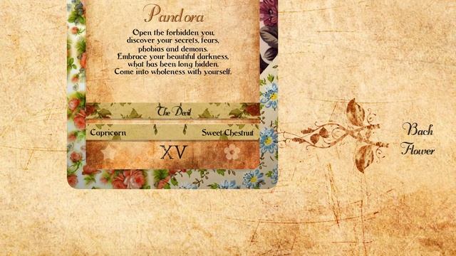 Goddess Power Cards - Sacred Feminine Oracle - Tarot смотреть онлайн