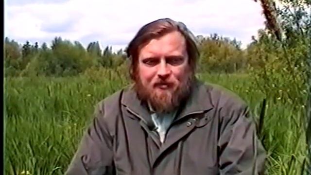 Овес посевной. Целебные растения и их применение (Бабурин). смотреть онлайн
