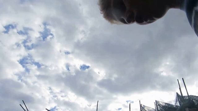 Много матерной лекции,меня ужалила оса,пожалуста поставьте лайк я очень старался смотреть онлайн