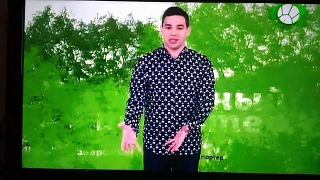 Звериный репортёр ведущий Дмитрий голубев смотреть онлайн