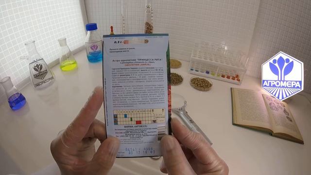 Астра Принцесса Рита. Артикул смотреть онлайн