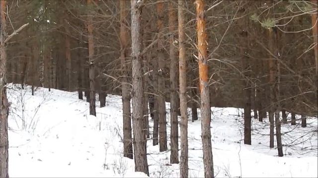 Город детства. Сатка смотреть онлайн