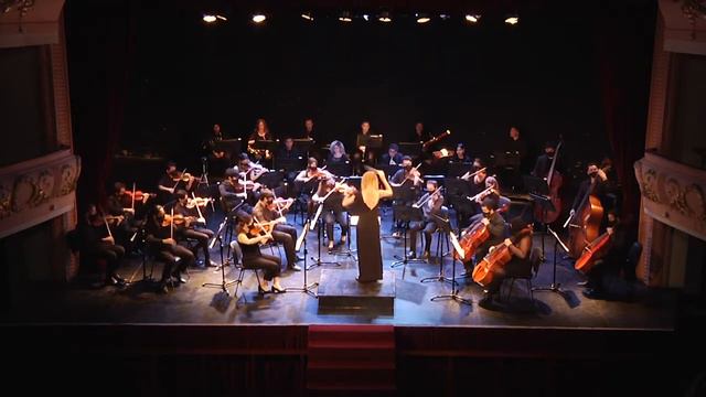 Richard Wagner - Idilio de Sigfrido - Clara Balduzzi смотреть онлайн