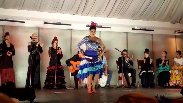 Por guajira. Flamenco. Maracay, Venezuela . смотреть онлайн