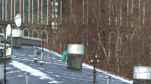Видео снятое видеокамерой Panasonic HC-X800 camera test sample video смотреть онлайн
